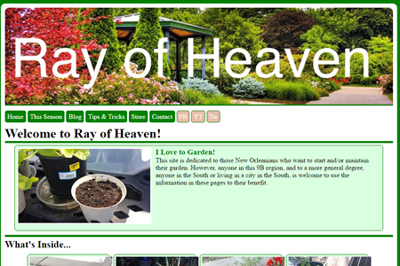 Ray of Heaven